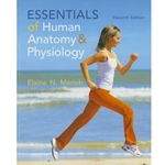 ESSENTIALS OF HUMAN ANATOMY AND PHYSIOLOGY