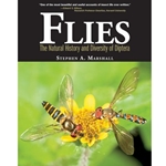 Flies