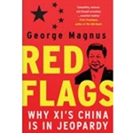 RED FLAGS