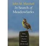 IN SEARCH OF MEADOWLARKS