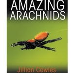 AMAZING ARACHNIDS