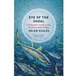 Eye of the Shoal