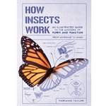 How Insects Work