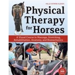 Physical Therapy for Horses