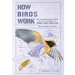 How Birds Work