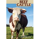 Beef Cattle