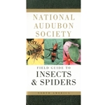 AUDUBON SOCIETY FIELD GUIDE TO N.A. INSECTS & SPIDERS