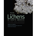 KEYS TO LICHENS OF NORTH AMERICA
