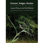 Grasses, Sedges, Rushes