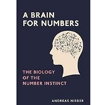 BRAIN FOR NUMBERS