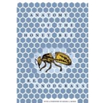 Anatomy of the Honey Bee