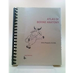 Atlas of Bovine Anatomy
