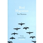 Bird Migration