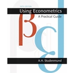 Using Econometrics