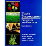 Plant Propagation