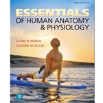 Essentials of Human Anatomy and Physiology