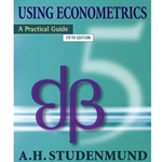 Using Econometrics