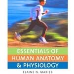 Essentials of Human Anatomy and Physiology