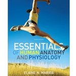 Essentials of Human Anatomy and Physiology