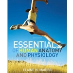 Essentials of Human Anatomy and Physiology
