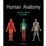 Human Anatomy