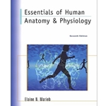 Essentials of Human Anatomy and Physiology