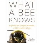 What a Bee Knows