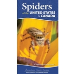 Spiders of the United States
