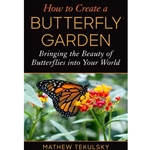 How to Create a Butterfly Garden