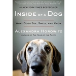 Inside of a Dog