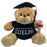 Graduation Bear