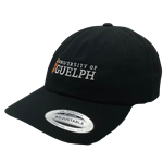 Black Identifier Horizontal Dad Hat