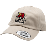 Stone Guelph Gryphons Stacked Dad Hat