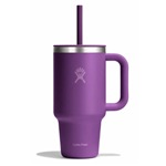 Hydro Flask 32 oz All Around Travel Tumbler with Straw Lid - Beachplum