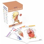 Anatomy Flashcards: 300 Flashcards with Anatomically Precise Drawings and Exhaustive Descriptions