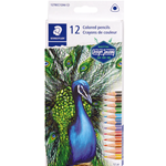12 Pack Coloured Pencils