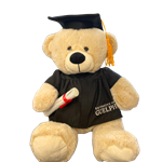 Gemstone Grad Bear 13"
