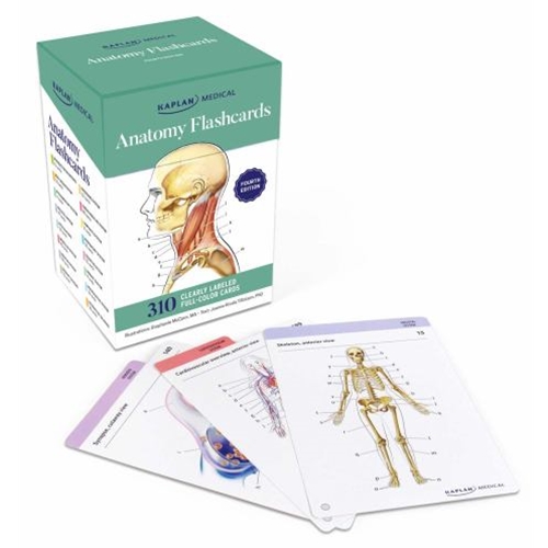 （セール）開催中 人気ブランドも続々プライス of University Guelph Flashcards Anatomy - Bookstore 健康・医学