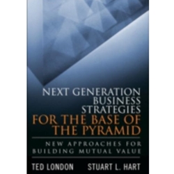 NEXT GENERATION BUSINESS STRATEGIES