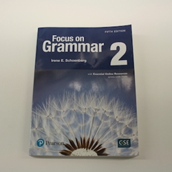 FOCUS ON GRAMMAR 2