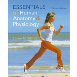 ESSENTIALS OF HUMAN ANATOMY AND PHYSIOLOGY