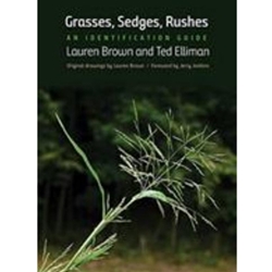 Grasses, Sedges, Rushes