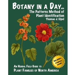 Botany in a Day