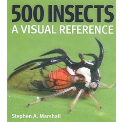 500 Insects