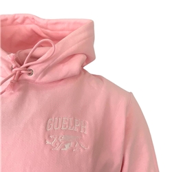 Neon pink champion outlet hoodie