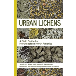 Urban Lichens