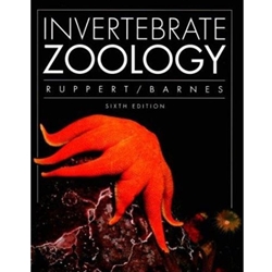 Invertebrate Zoology