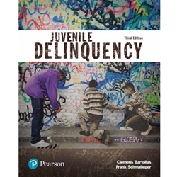 (IN STORE CARD) EBOOK JUVENILE DELINQUENCY (JUSTICE SERIES)