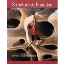 Structure and Function of the Human Body