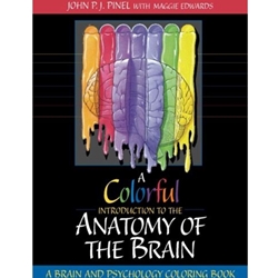 A Colorful Introduction to the Anatomy of the Human Brain